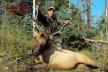 Neil Mattison 2009 Archery Elk