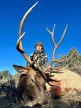 Chase Adams 2024 Rifle