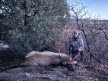 John Bisges 2024 Rifle