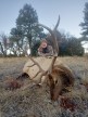 Wayne Pavan 2024 Rifle