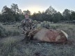 Blake Winburne 2024 Rifle
