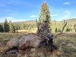 Chris Rahn 2024 Rifle