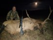 Tom Haynes 2024 Rifle