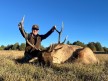Harvey Beech 2024 Rifle