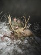 Hunter Miller 2024 Rifle