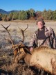 Buddy Mitchell 2024 Rifle