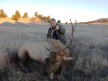 Lynn Shaffer 2024 Rifle