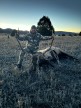 Eric Campbell 2024 Rifle