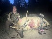 Sydney Cryder 2025 Archery