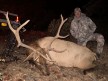 Joe Sucharda 2025 Archery