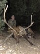 Danny Elliott 2025 Archery