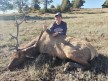 Cyndi Bean 2025 Archery