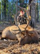 Tom Haynes 2025 Archery