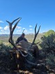 Matt Adell 2025 Archery