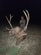 Brad Walker 2026 Rifle